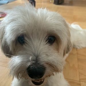 Meet your Posher, Elena